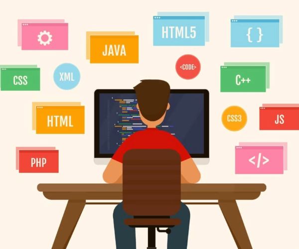 تخصصات البرمجة